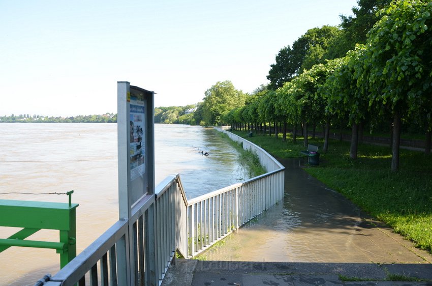 Fehlalarm PRhein Koeln Porz Mitte P1.JPG